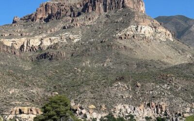 Does Writing Down Your Goals Matter?