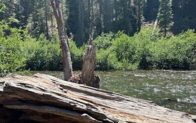 Who Holds All the Investments? Investors? Or the Institutions?