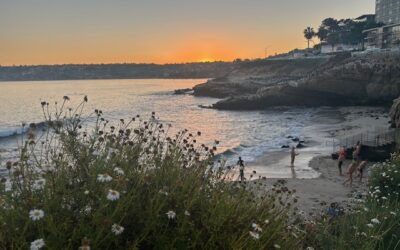 5 Things I Learned at Swim Camp