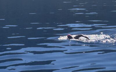 What I Learned from Swimming the Length of Lake Tahoe