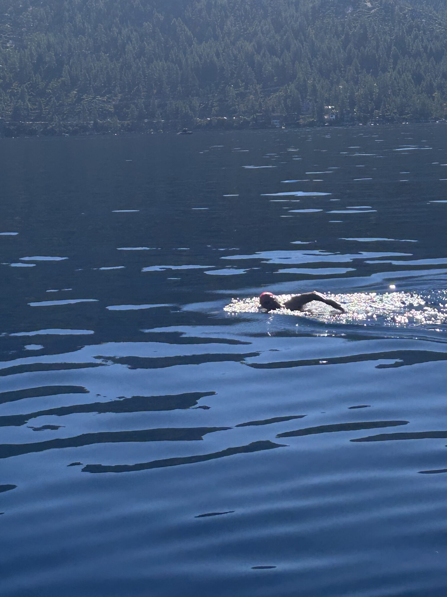 Tahoe swim
