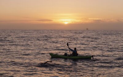 Not Every Shadow Is a Shark: 5 Lessons from Swimming the Catalina Channel